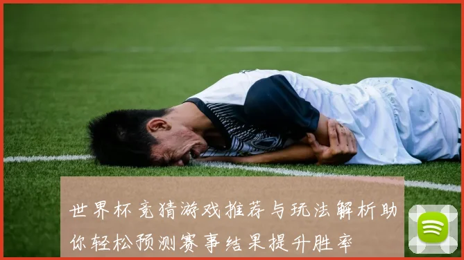 世界杯竞猜游戏推荐与玩法解析助你轻松预测赛事结果提升胜率
