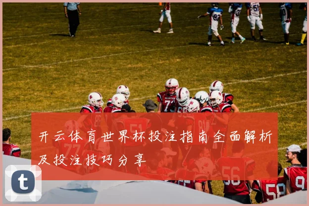 开云体育世界杯投注指南全面解析及投注技巧分享