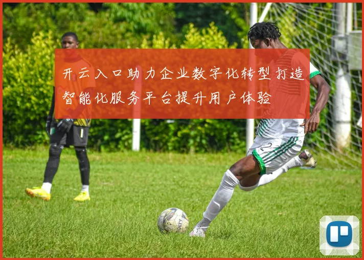 开云入口助力企业数字化转型打造智能化服务平台提升用户体验