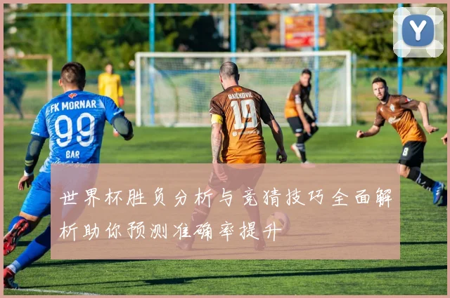世界杯胜负分析与竞猜技巧全面解析助你预测准确率提升