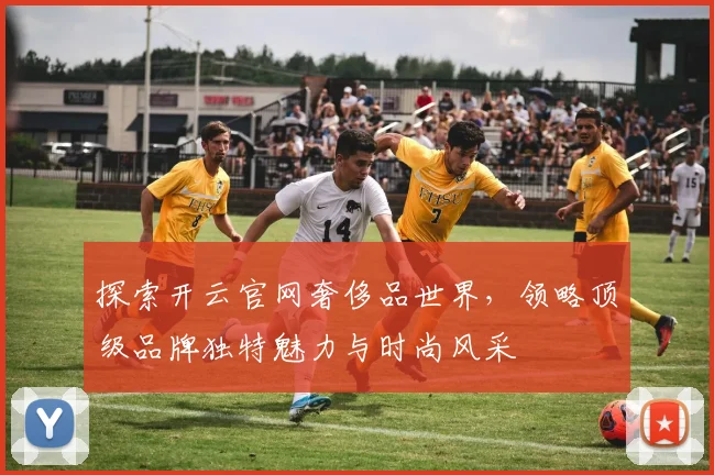 探索开云官网奢侈品世界，领略顶级品牌独特魅力与时尚风采