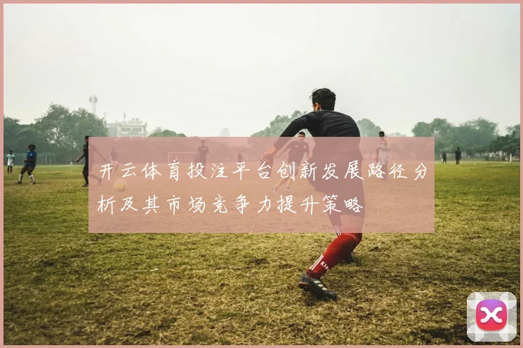开云体育投注平台创新发展路径分析及其市场竞争力提升策略